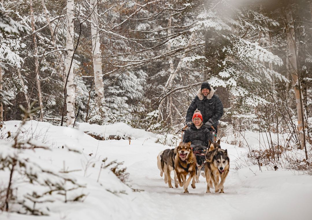 Traîneau à chiens à l'Auberge du Lac Taureau